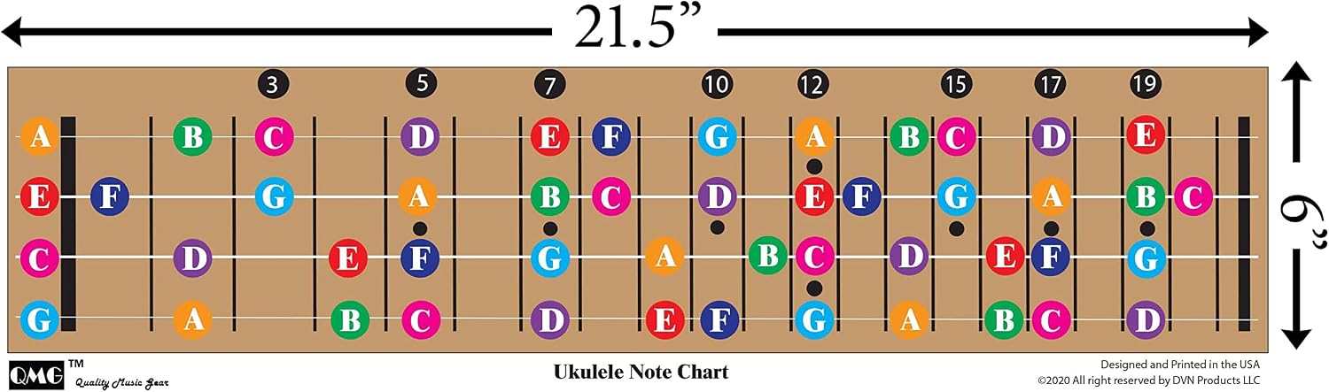 Thumbnail 6 de QMG Ukulele Fretboard Note Chart