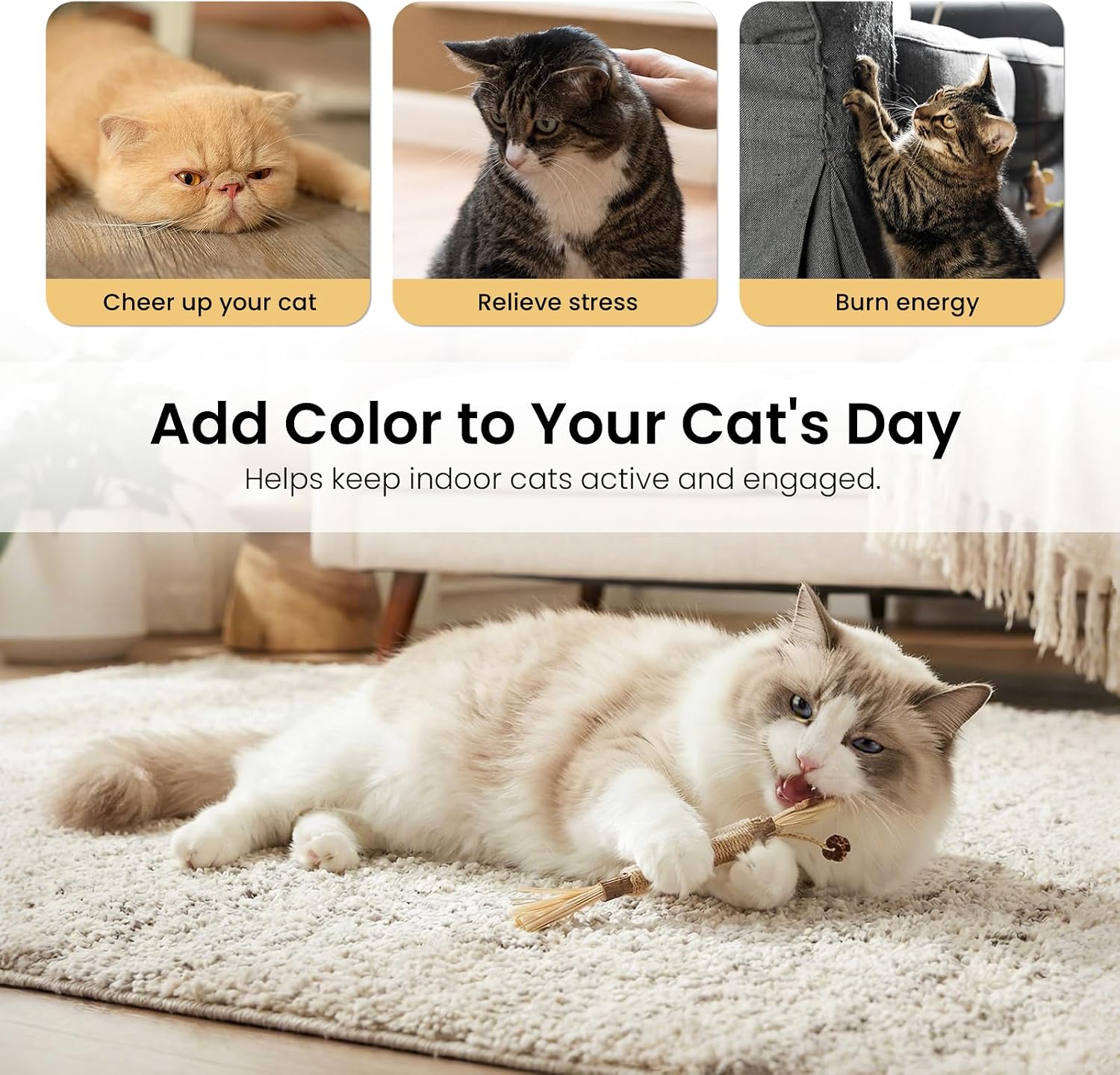Detalle 2 de Aidiyapet Bastoncini Matatabi per Gatti – 6 Pezzi di Bastoncini da Masticare con Silvervine e Corda di Sisal