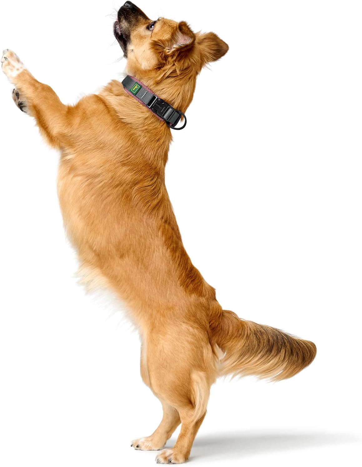 Thumbnail 5 de HUNTER Halsband Maldon in Rosa, atmungsaktives Mesh, Größe S