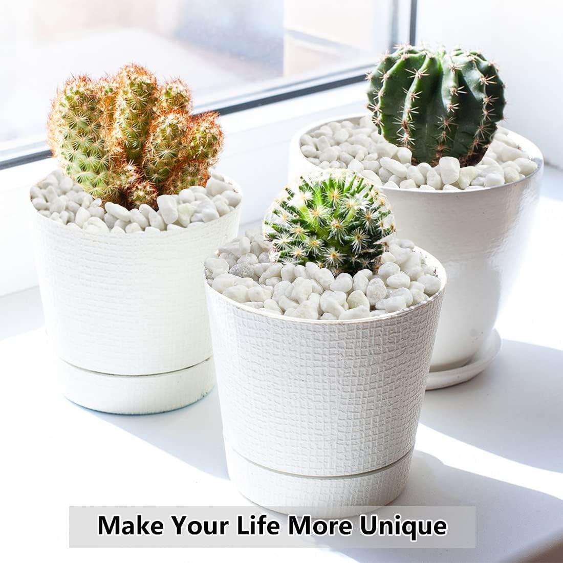 Detalle 1 de YISZM White Succulent and Cactus Pebbles, 1/5-Inch Natural Stone