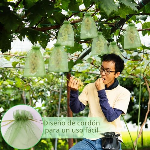 Detalle de LINSOCLE Bolsas para Uvas en Parra 30x40cm (50 Piezas) – Protección Transparente y Reutilizable para Uvas, Frutas y Semillas