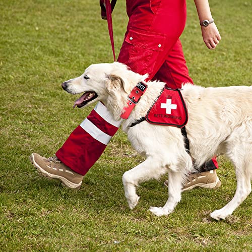 Detalle 2 de TSPRO Collar táctico ajustable 3,8 cm para perros