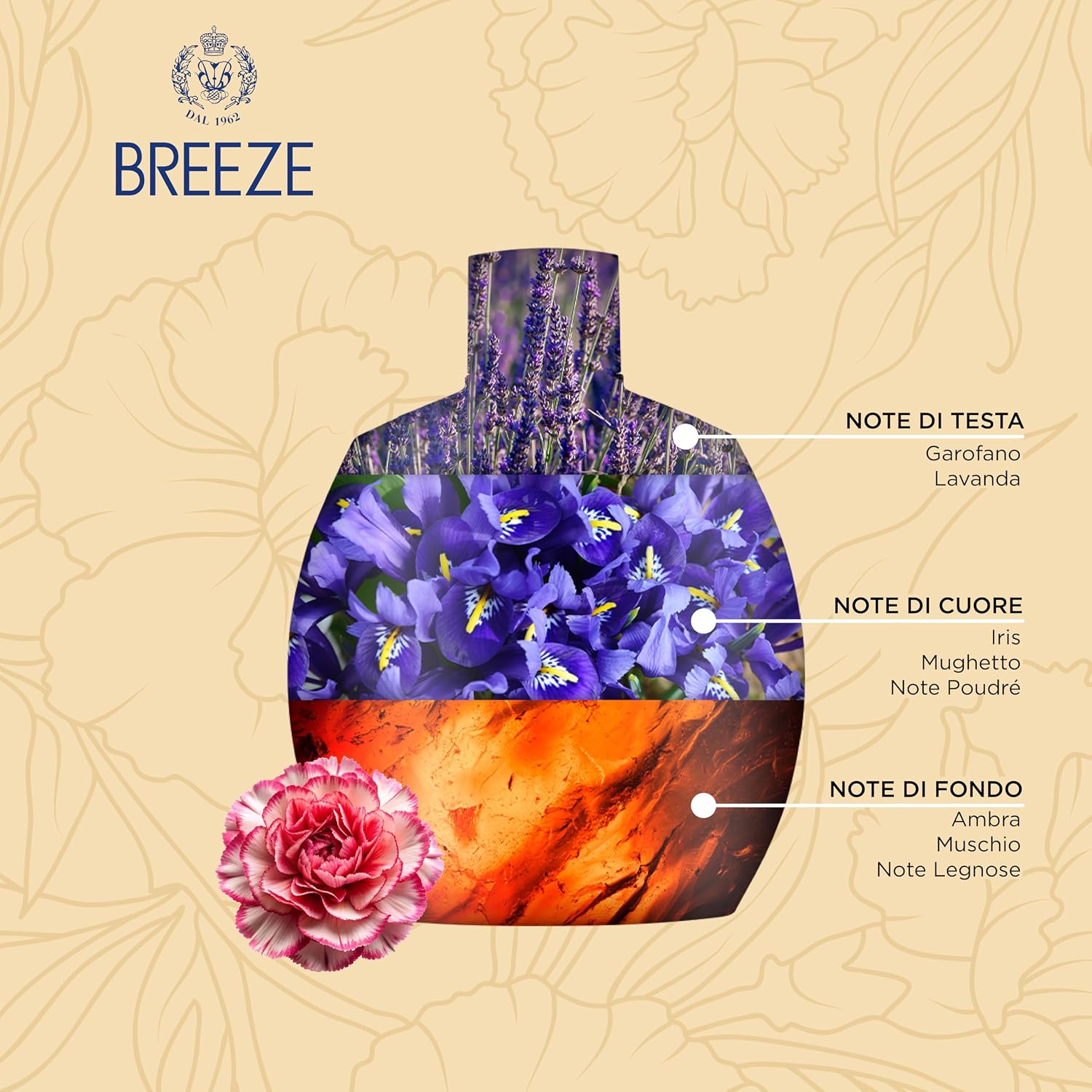 Detalle de BREEZE Squeeze Classico 67, dezodorant w sprayu bez gazu, 6 × 100 ml