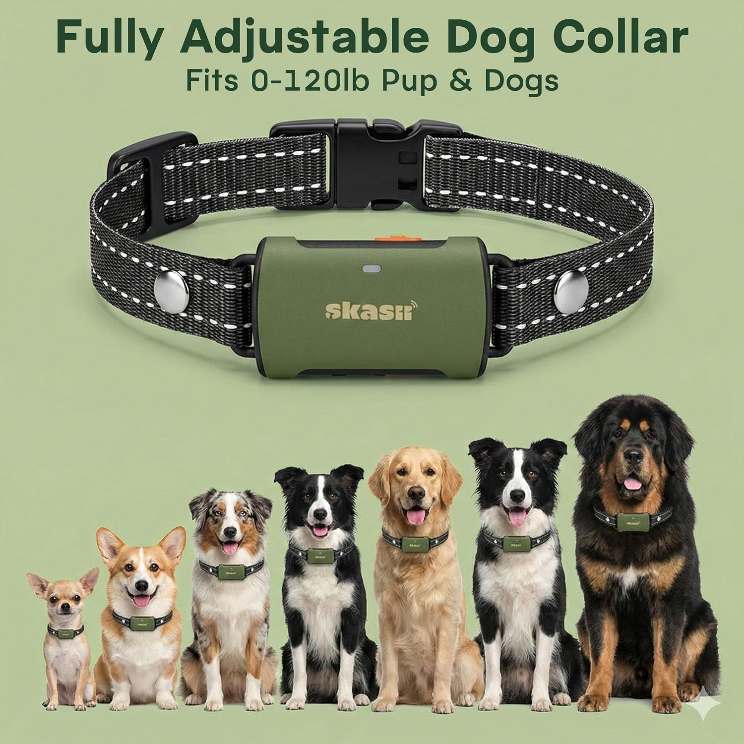 Detalle 1 de Skasii dog training collar, dark green