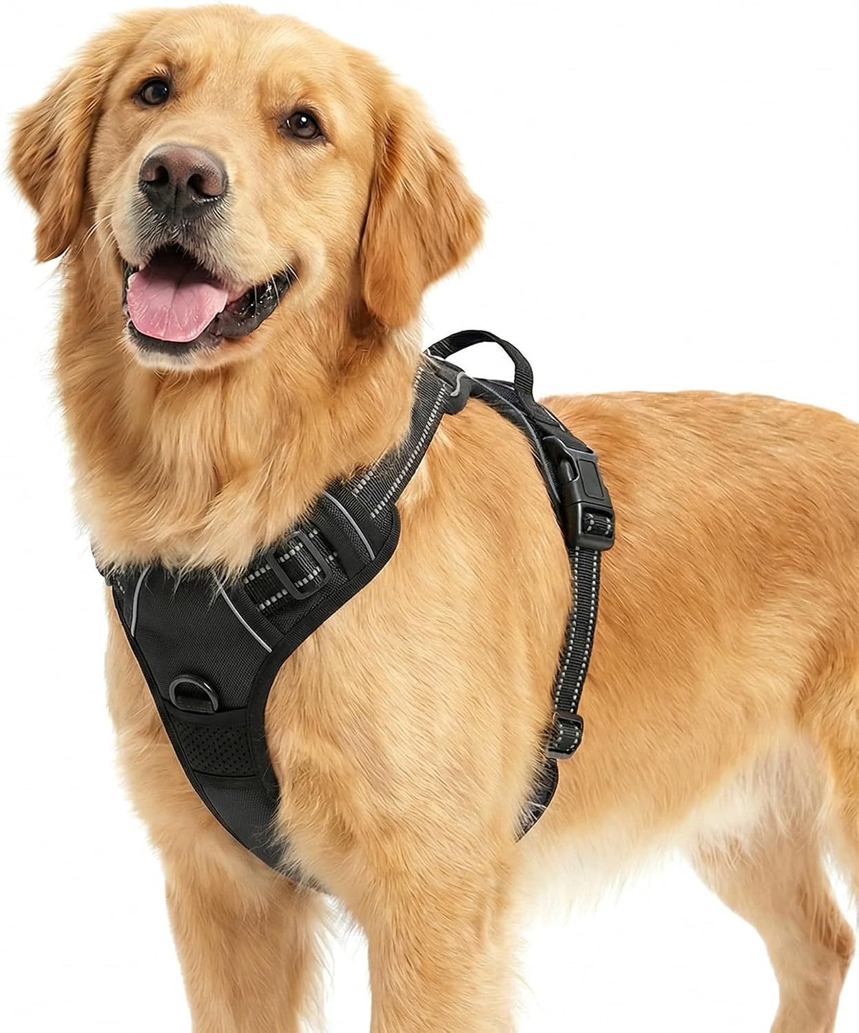 Thumbnail 3 de Funfox Large Dog Harness with Reflective Strips and 2-Clip No-Pull Design