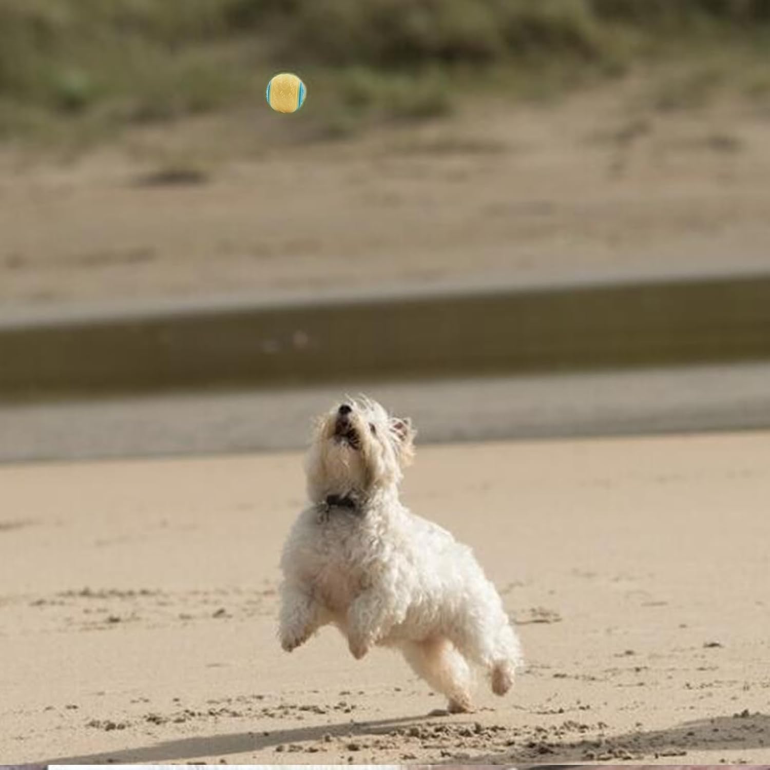 Thumbnail 6 de Irunfast 6Pcs Dog Balls 6.5cm Interactive Squeaky Pack