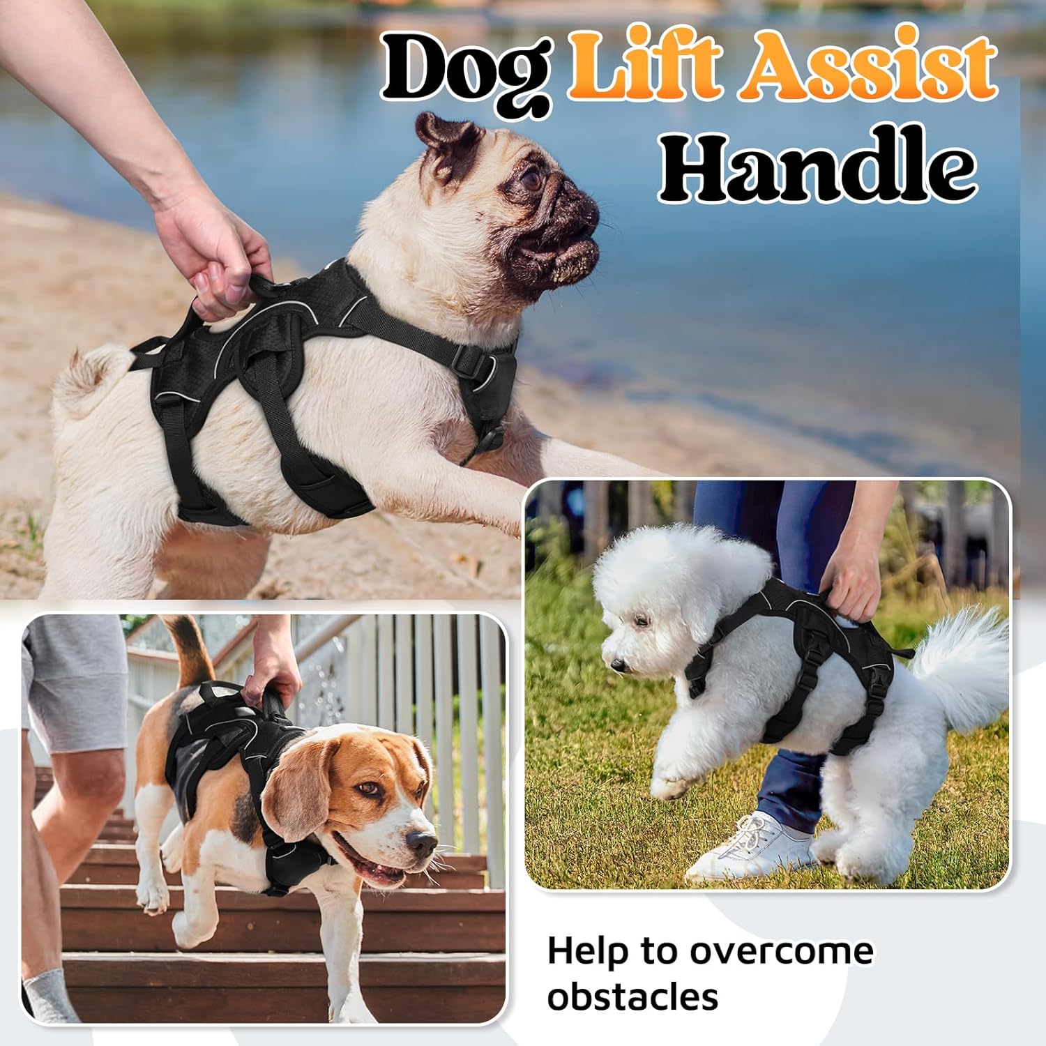 Detalle 2 de rabbitgoo Escape-Proof Dog Harness Small Dog with Handle (Size S) – Adjustable, Reflective & Breathable Vest-Style Harness, Black