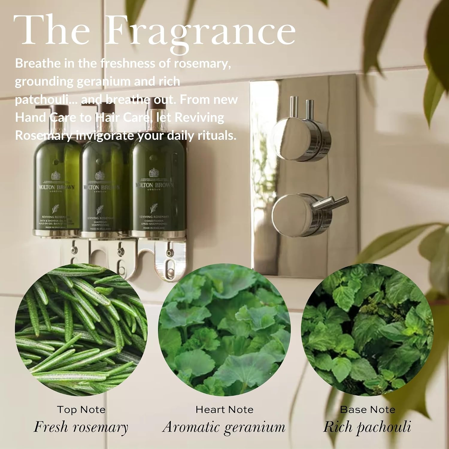 Detalle de Molton Brown Reviving Rosemary Balsamo da 300 ml: idrata, districa e lascia i capelli morbidi
