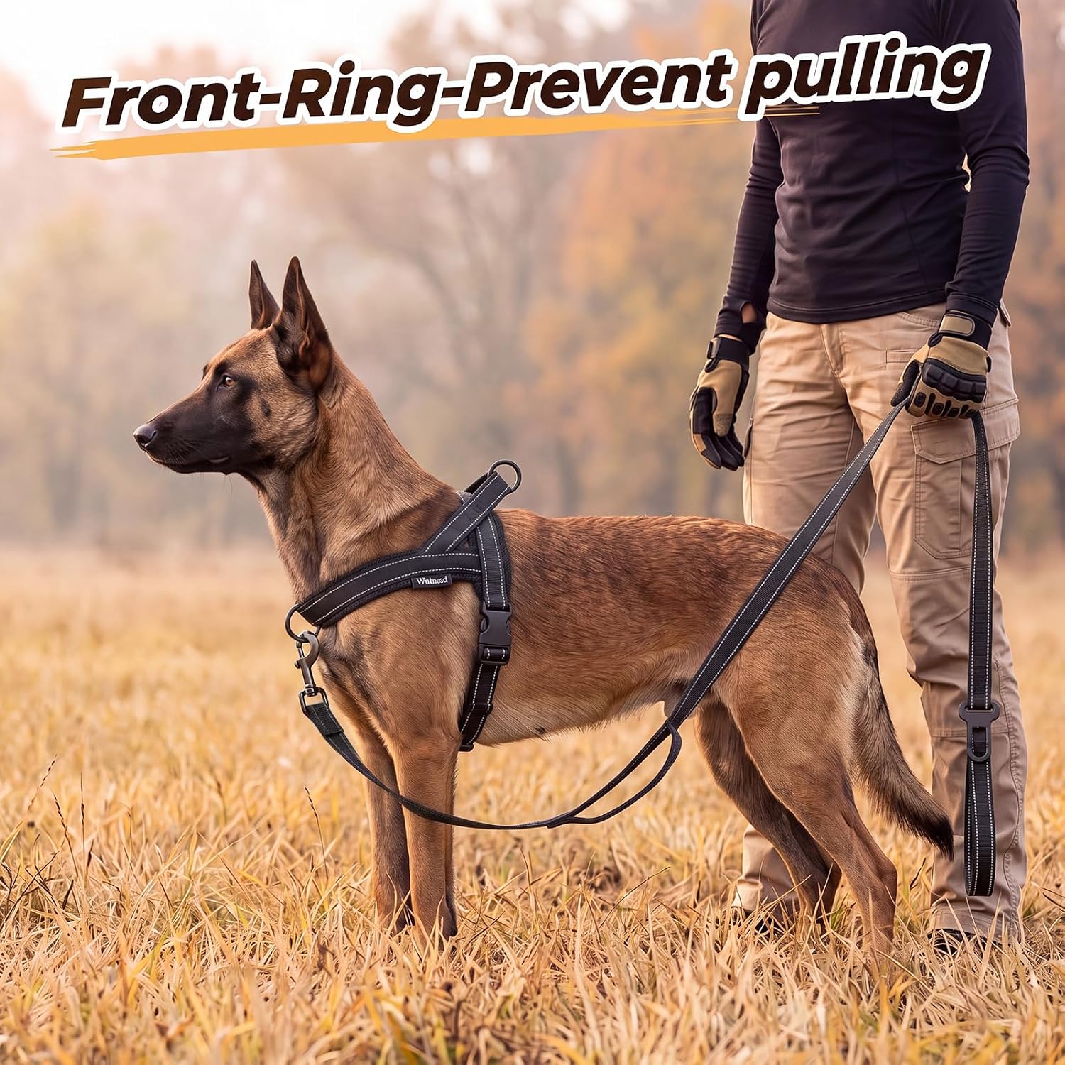 Thumbnail 2 de Wuhnesd W-DHL-004BK-L No-Pull Dog Harness and 5-Foot Leash Set, Black