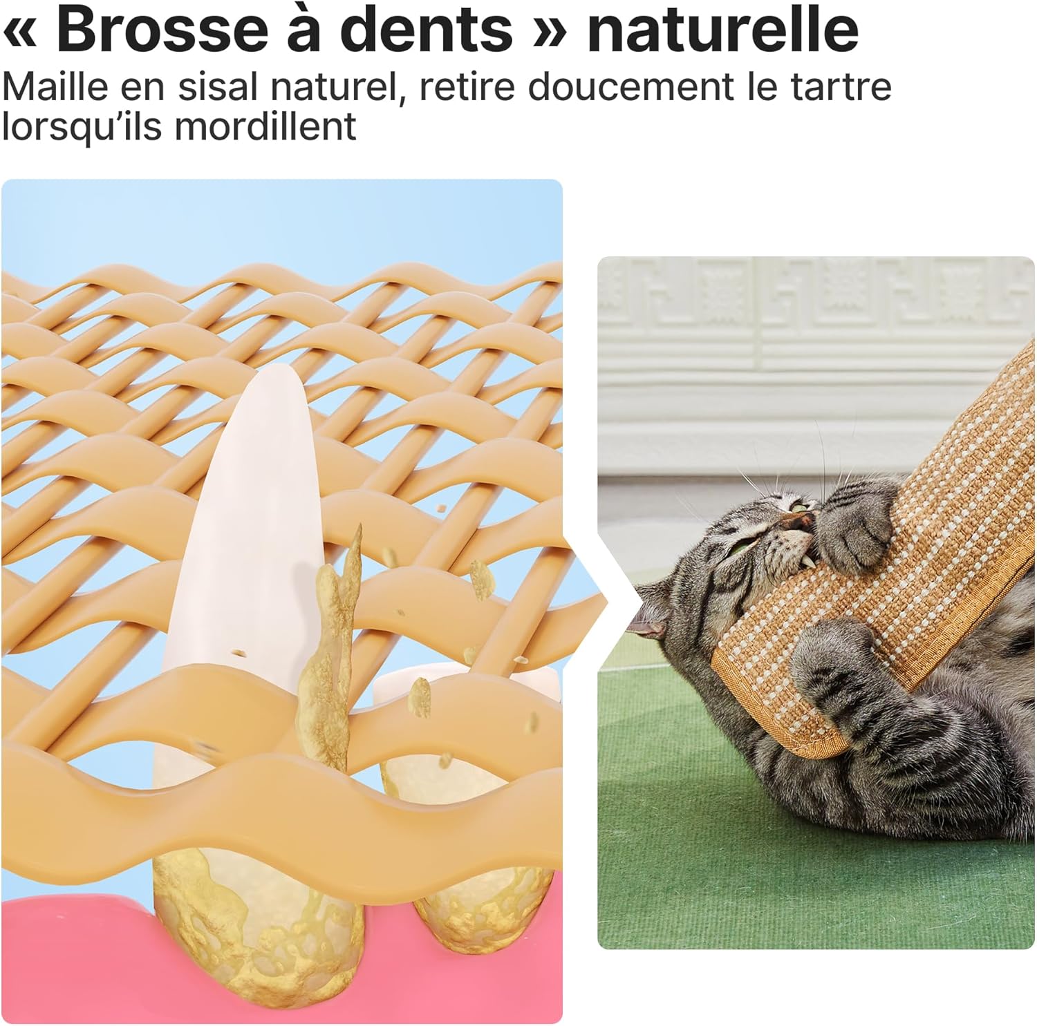 Thumbnail 4 de Lot de 2 jouets Potaroma pour chat avec herbe à chat bio (6000 mg A+) en sisal