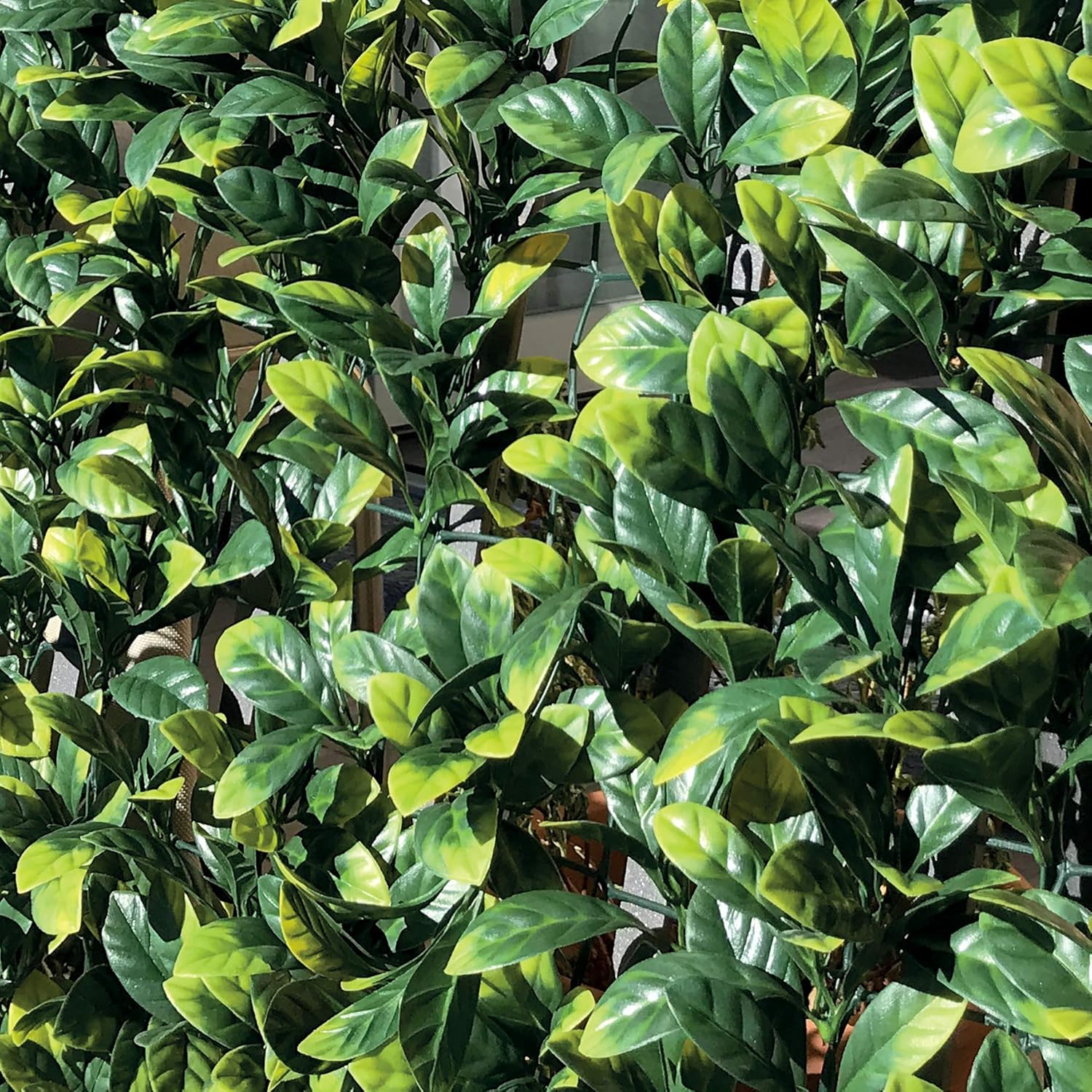 Thumbnail 5 de TENAX Divy 3D Plus Photinia: Siepe Sintetica 1,00x3m con Foglie 3D