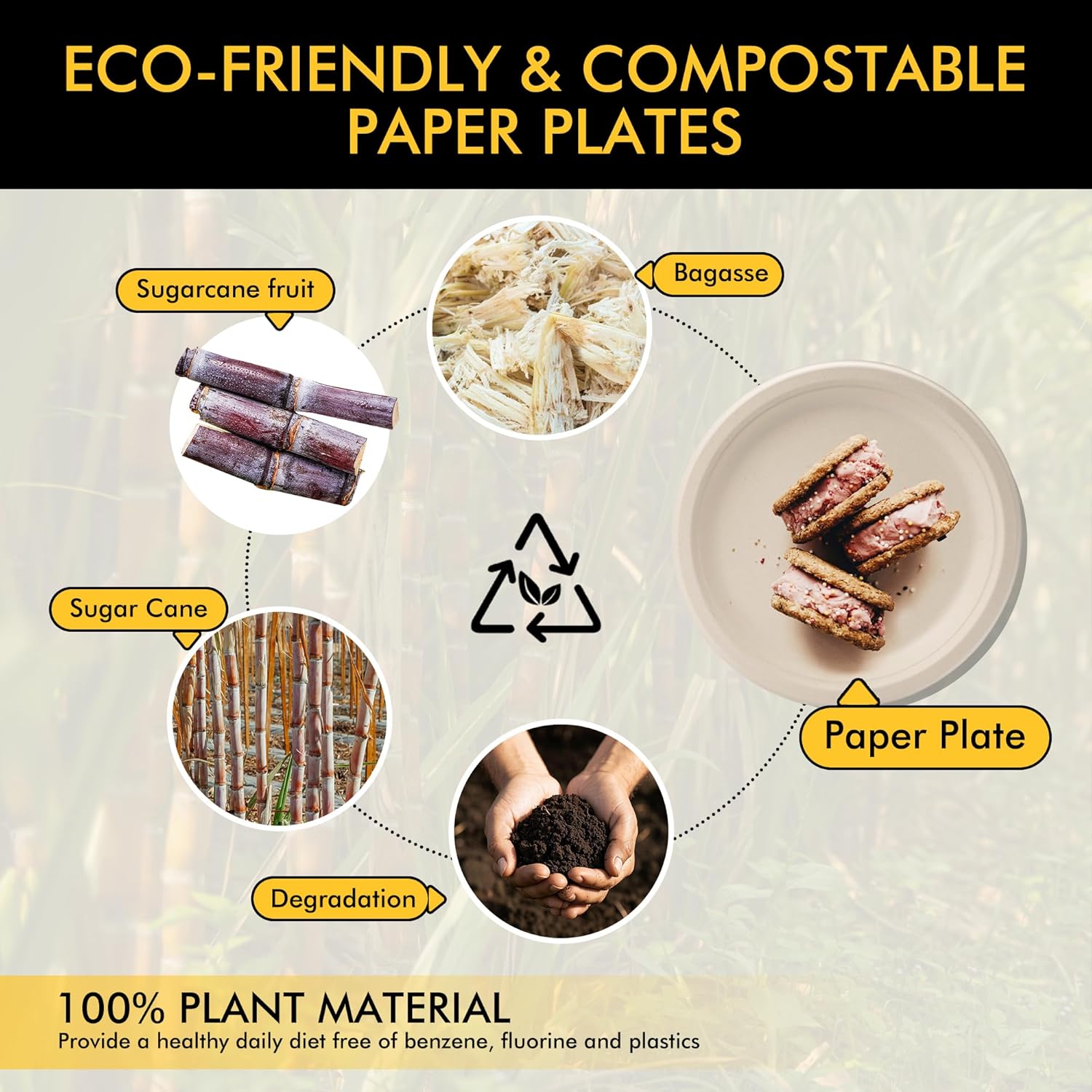 Detalle de RACETOP 10-Inch Compostable Paper Plates (150 Pack) — Heavy-Duty, Sugarcane Fiber, Unbleached Brown