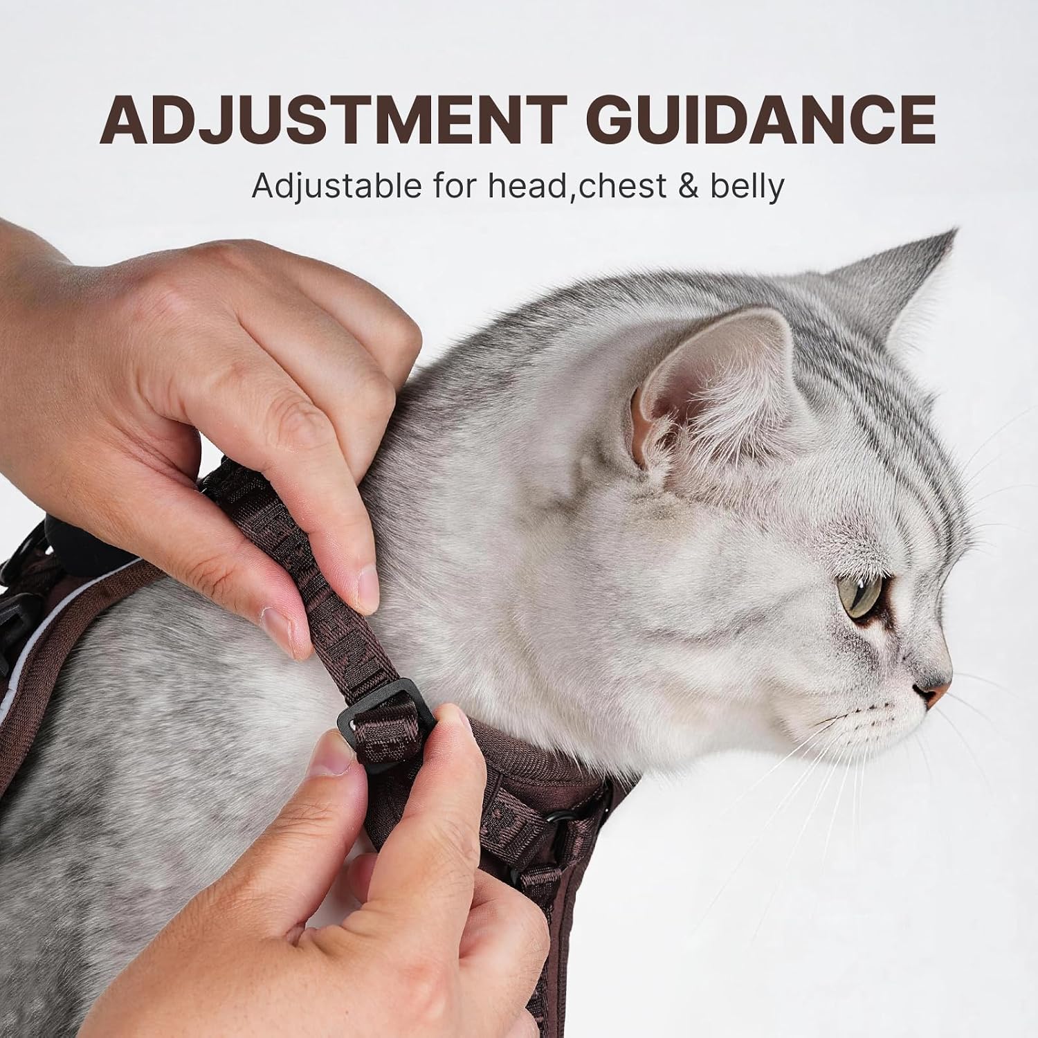 Thumbnail 4 de Cat Harness and Leash Set, XL