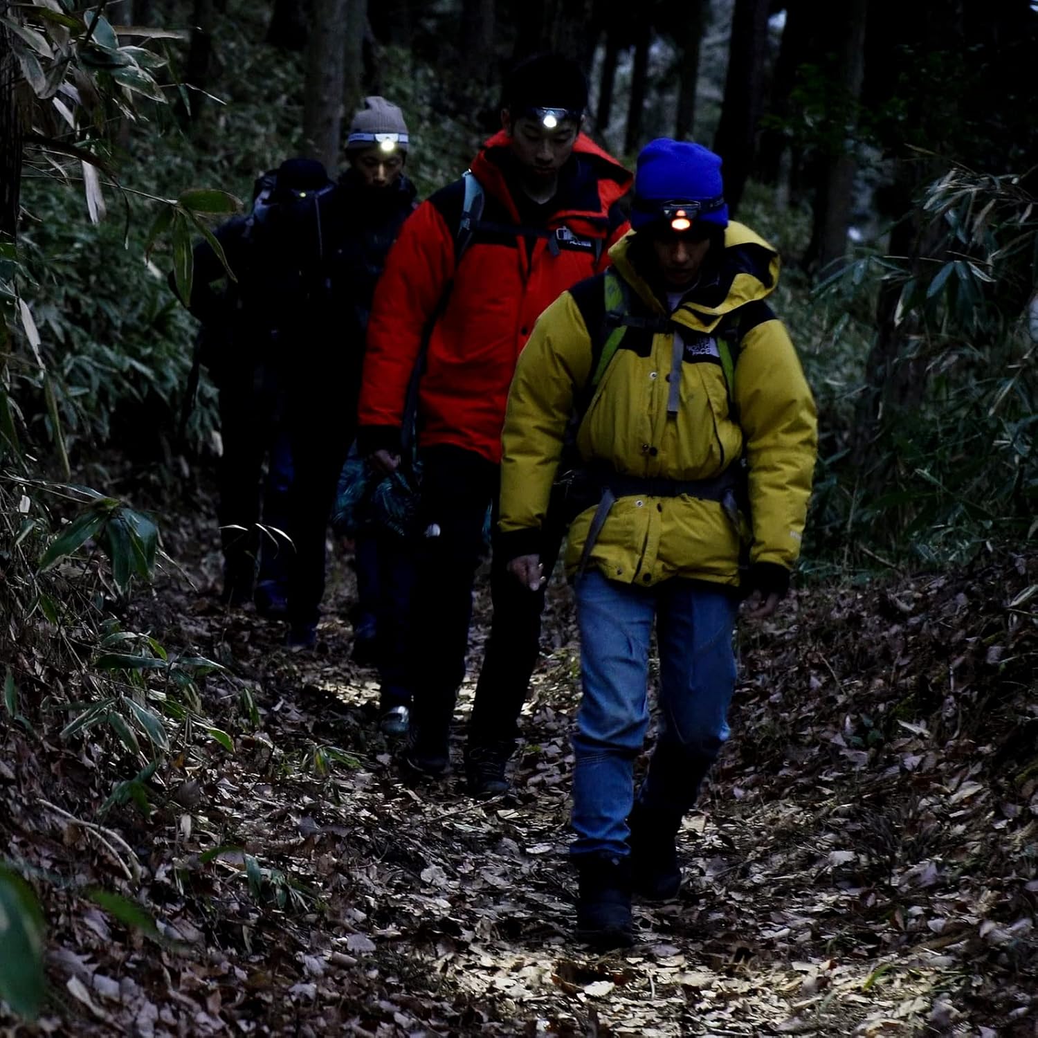 Thumbnail 1 de Ledlenser MH5: torcia frontale outdoor ricaricabile a 400 lm con luce rossa e alimentazione doppia