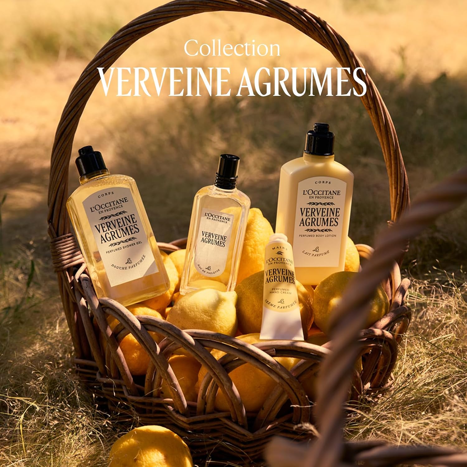 Thumbnail 4 de L'OCCITANE Verveine Agrumes Citrus Verbena Shower Gel 250 ml