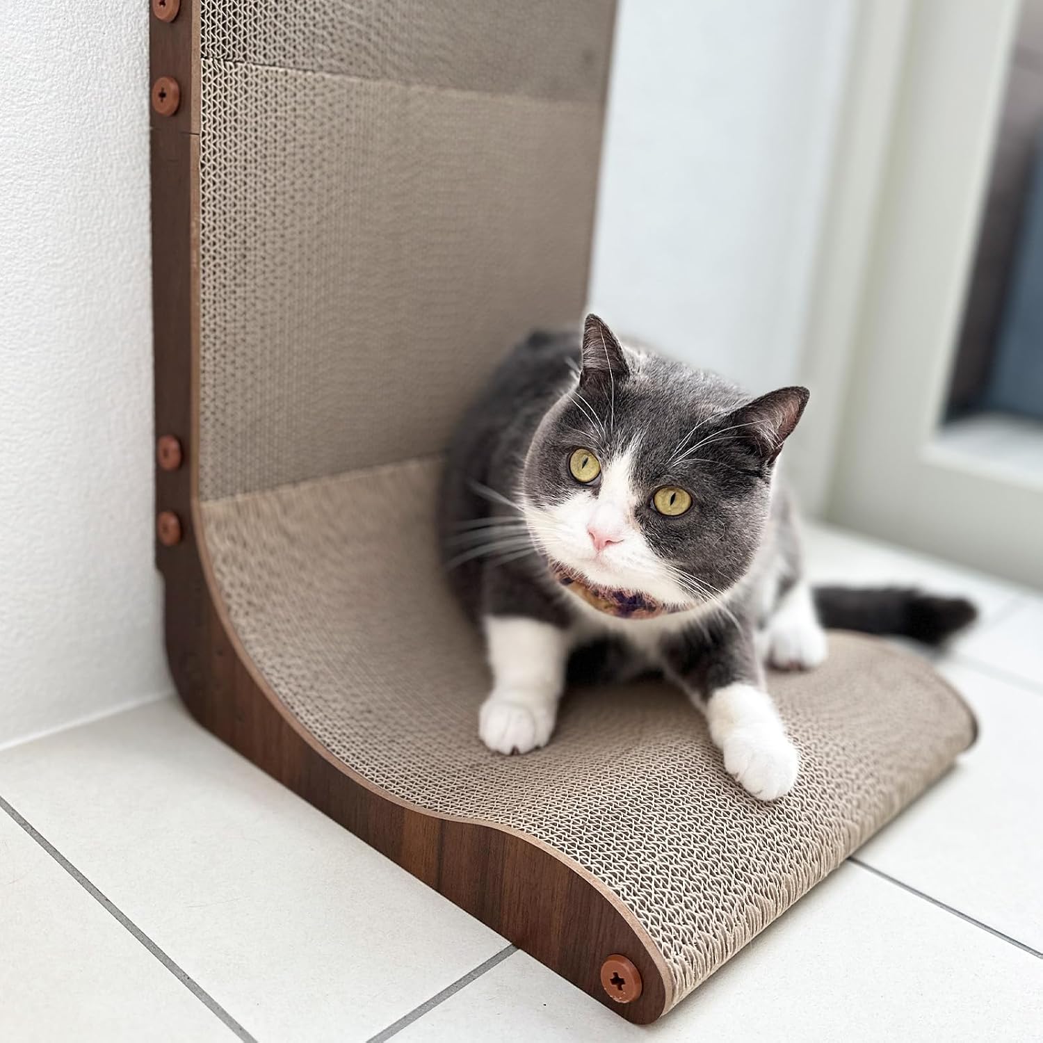 Detalle de by Amazon 猫壱 バリバリボード ウッドプレミアム専用交換用つめとぎ レギュラー