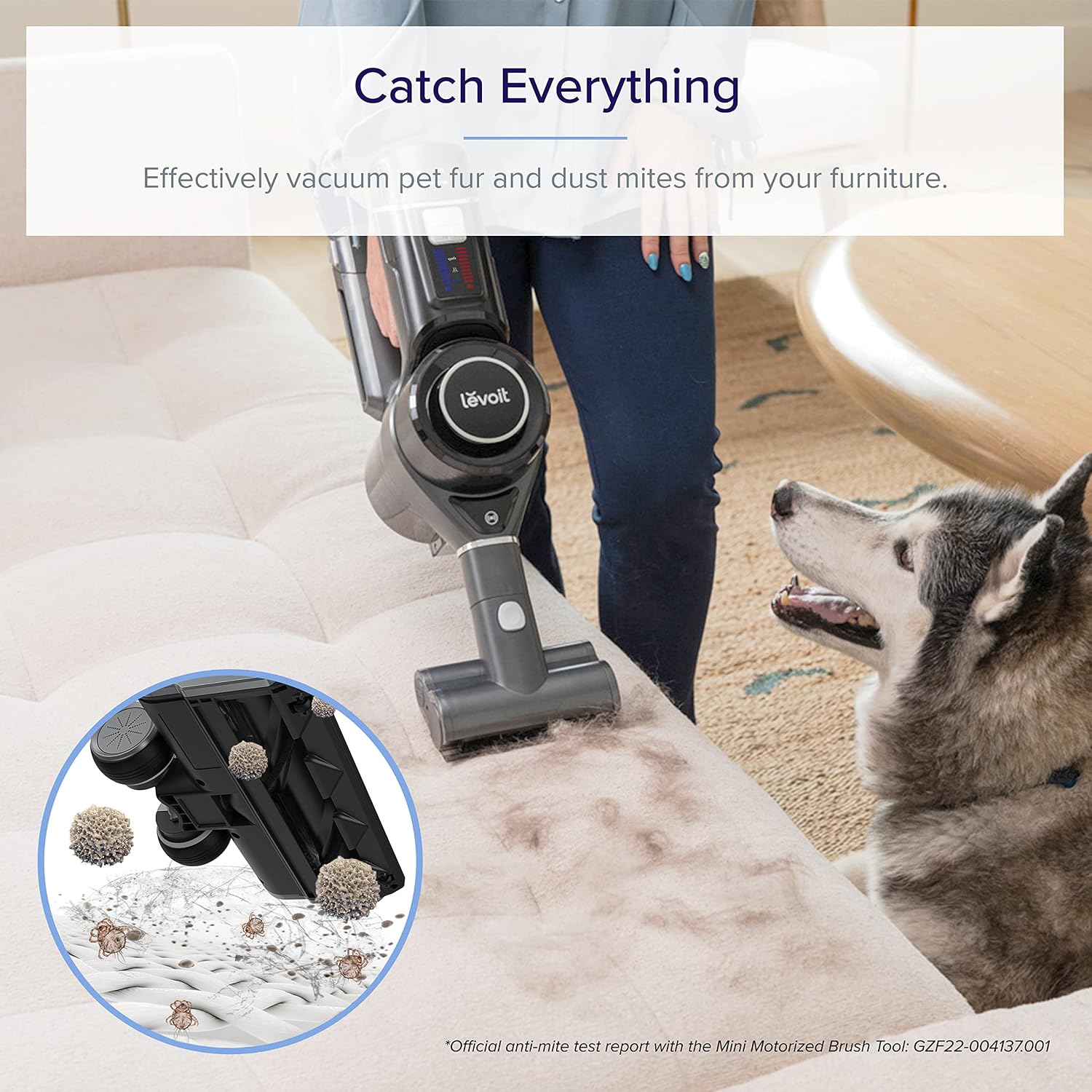 Thumbnail 6 de LEVOIT Cordless Vacuum Cleaner with Dual Brush and 80-Min Battery