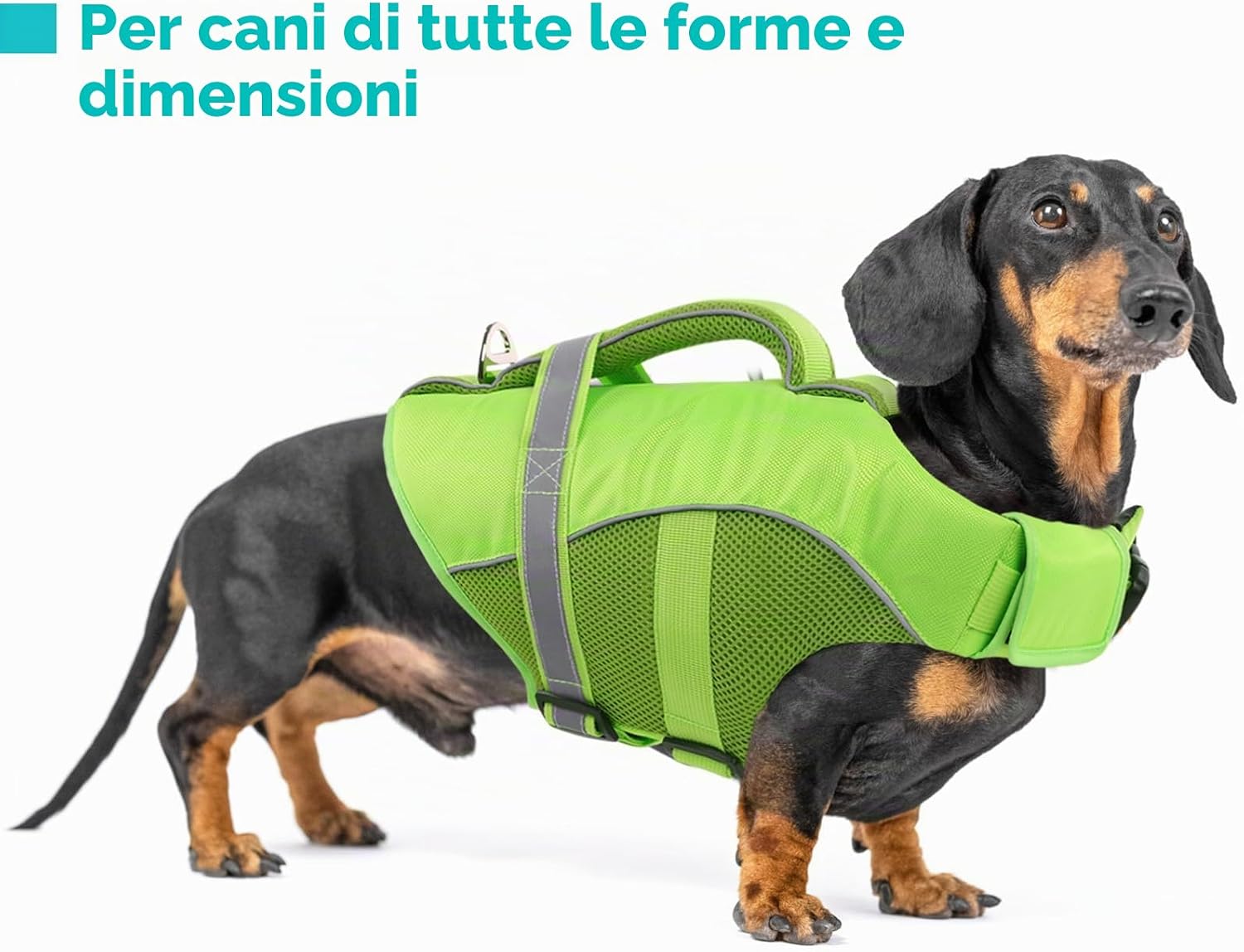Detalle de Queenmore Giubbotto Salvagente Cane con Alta Galleggiabilità – Versione Verde (L) per Kayak, Barche e Nuoto