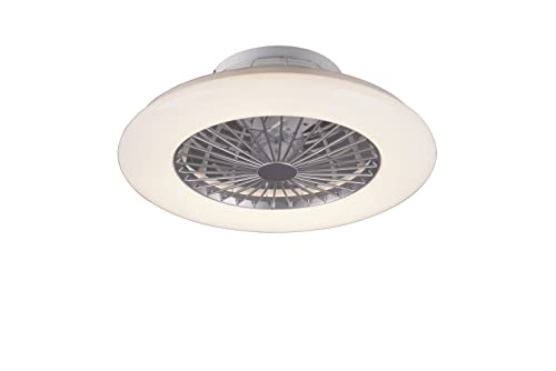 Detalle de Ventilateur Reality Stralsund avec 1xLED 🌬
