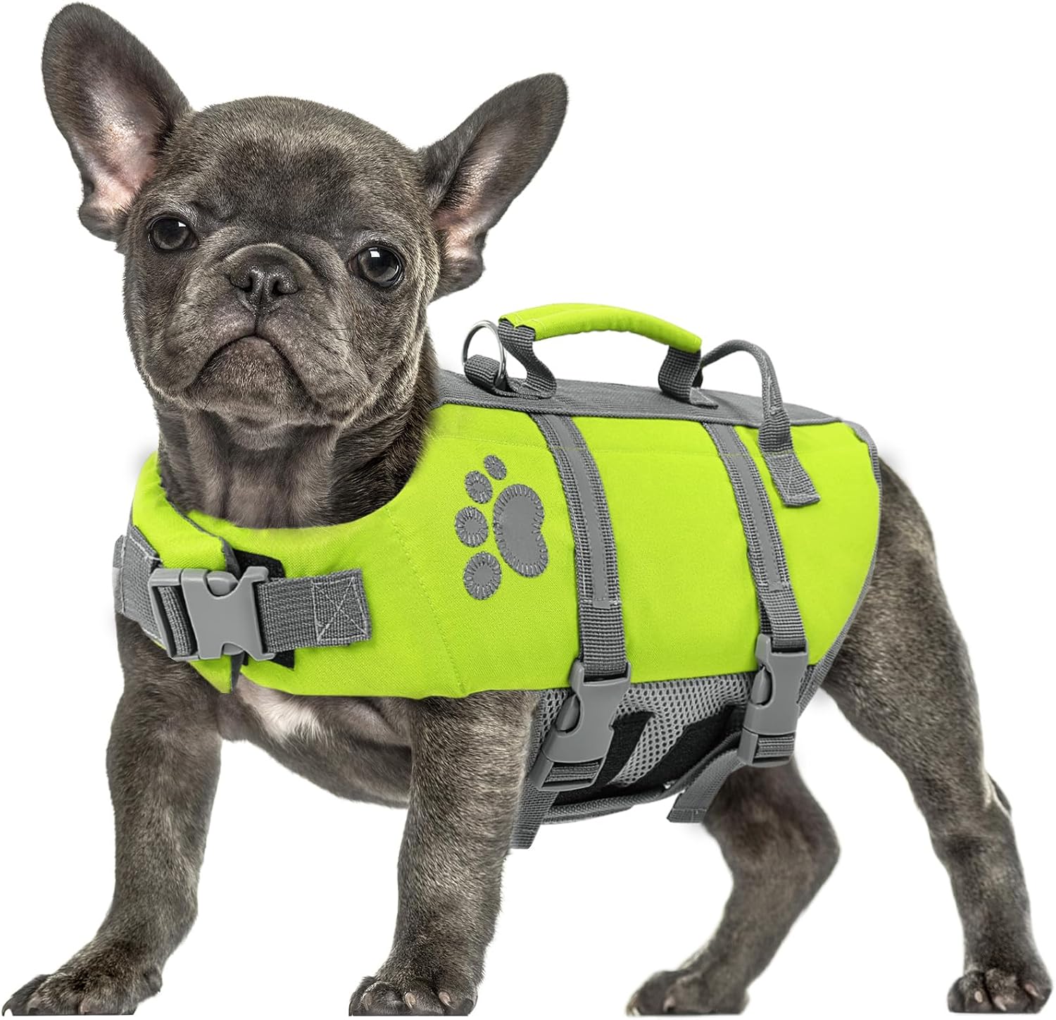 Queenmore Salvagente Cane Taglia XL – Verde, leggero, regolabile, riflettente