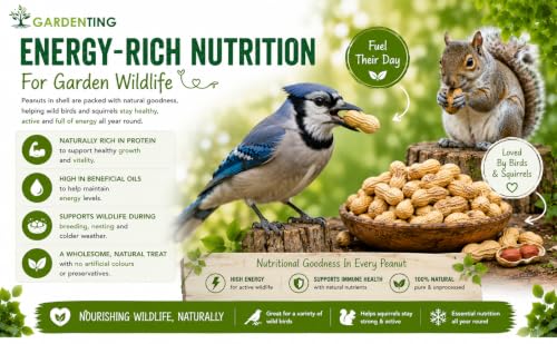 Thumbnail 3 de Garden Ting Premium Peanuts In Shell Monkey Nuts 3L Tub
