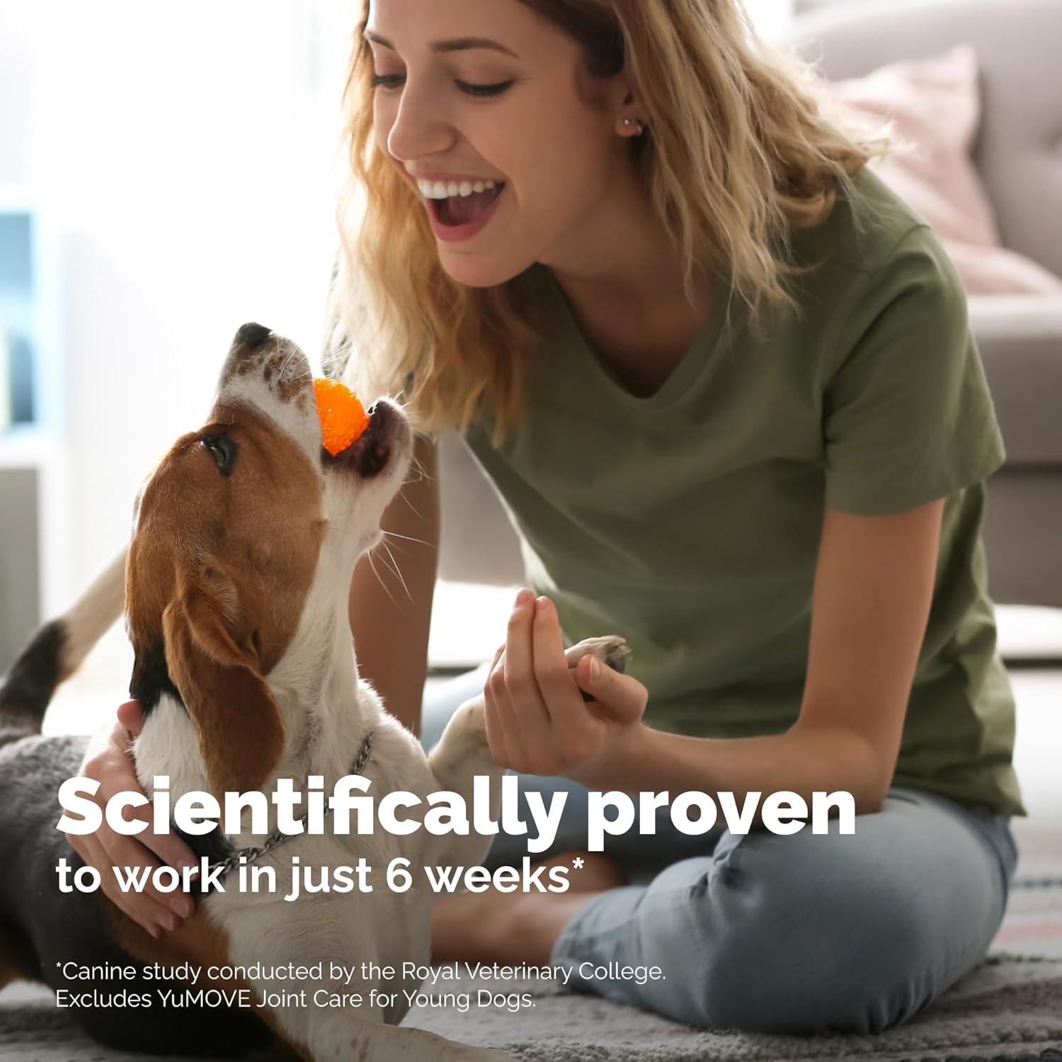 Thumbnail 4 de YuMOVE Integratore articolazioni cane 5-8 anni con cozza verde (ActivEase) – 120 compresse da 150 mg