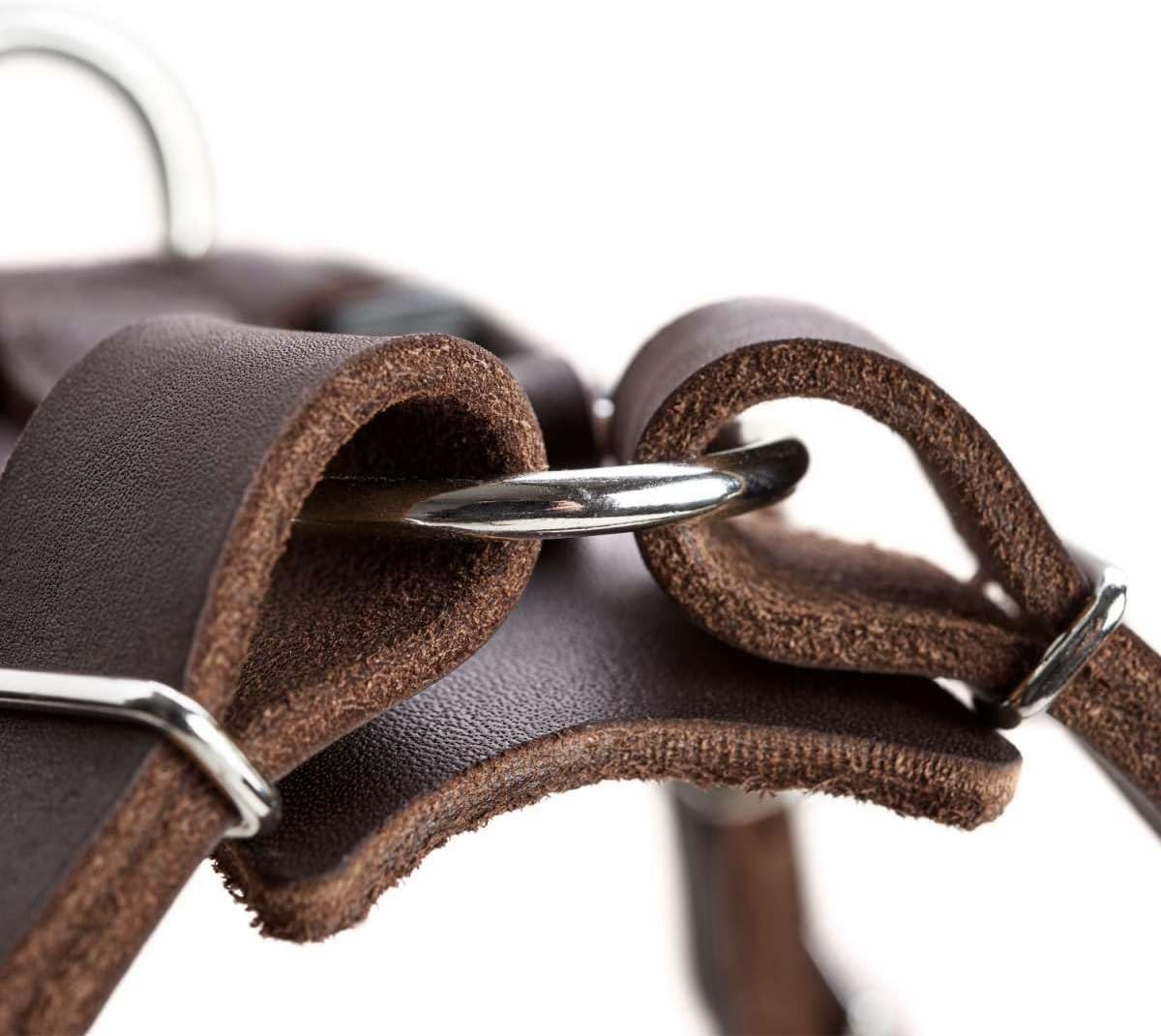 Detalle 2 de HUNTER AALBORG Leder Geschirr XS 38â52 cm đŸ