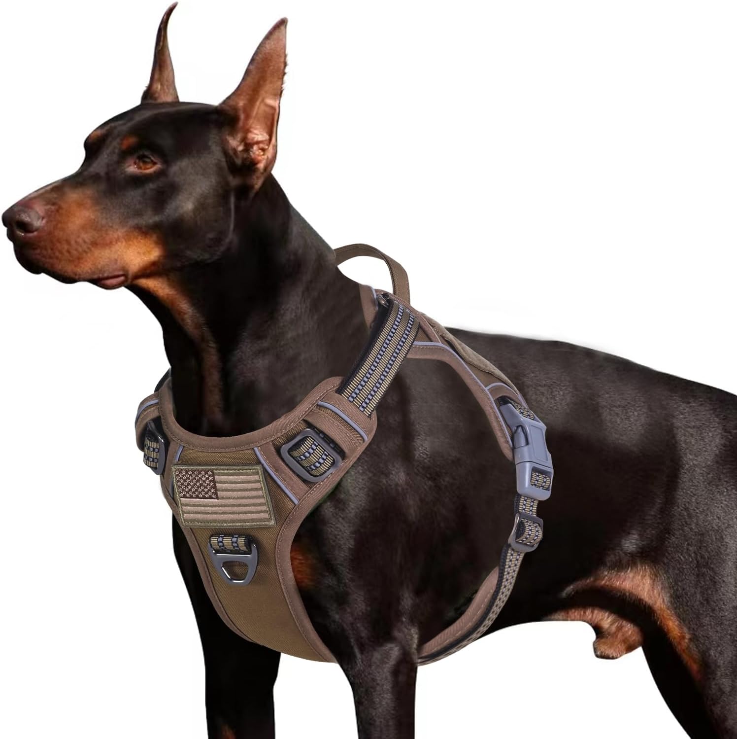 Thumbnail 6 de BUMBIN Tactical Dog Harness XL