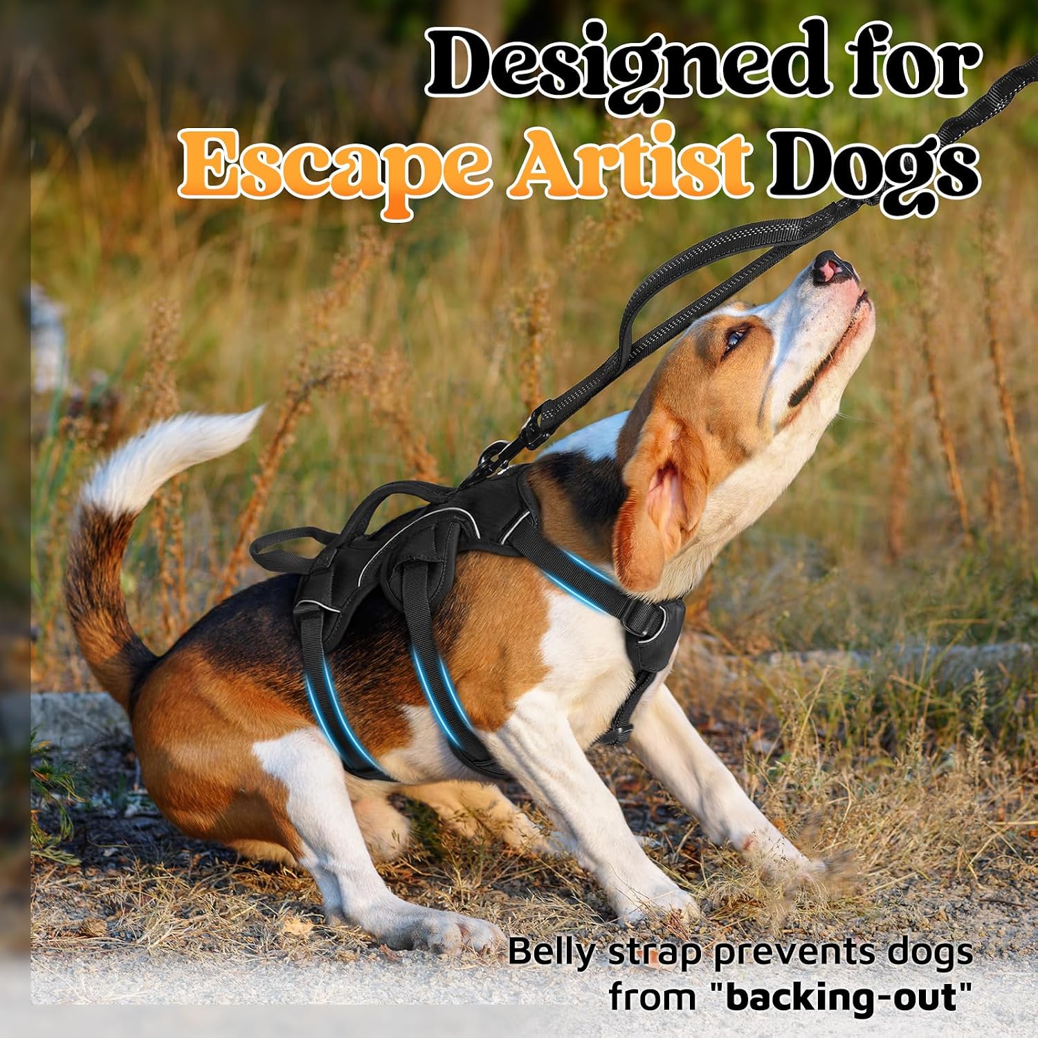 Detalle de rabbitgoo Escape-Proof Dog Harness Small Dog with Handle (Size S) – Adjustable, Reflective & Breathable Vest-Style Harness, Black