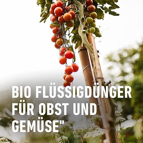 Detalle de COMPO BIO Obst- und Gemüsedünger, 1 L – Natürlicher Flüssigdünger für gesundes Wachstum und aromatische Erträge