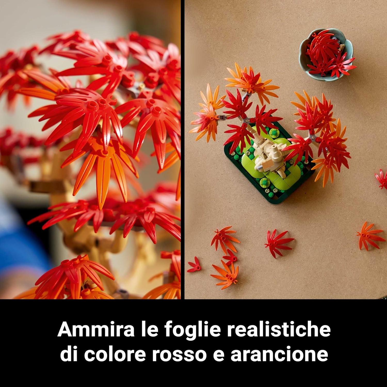 Thumbnail 3 de LEGO Botanicals Bonsai di Acero Rosso Giapponese (10348): decorazione LEGO per adulti, compatibile con la collezione Botanical