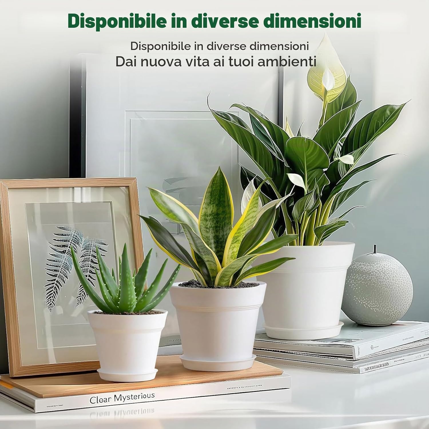 Detalle 2 de T4U Vaso da Interno 19 cm Set 6 con Sottovaso Possono Essere Utilizzati per Piante e Orchidee
