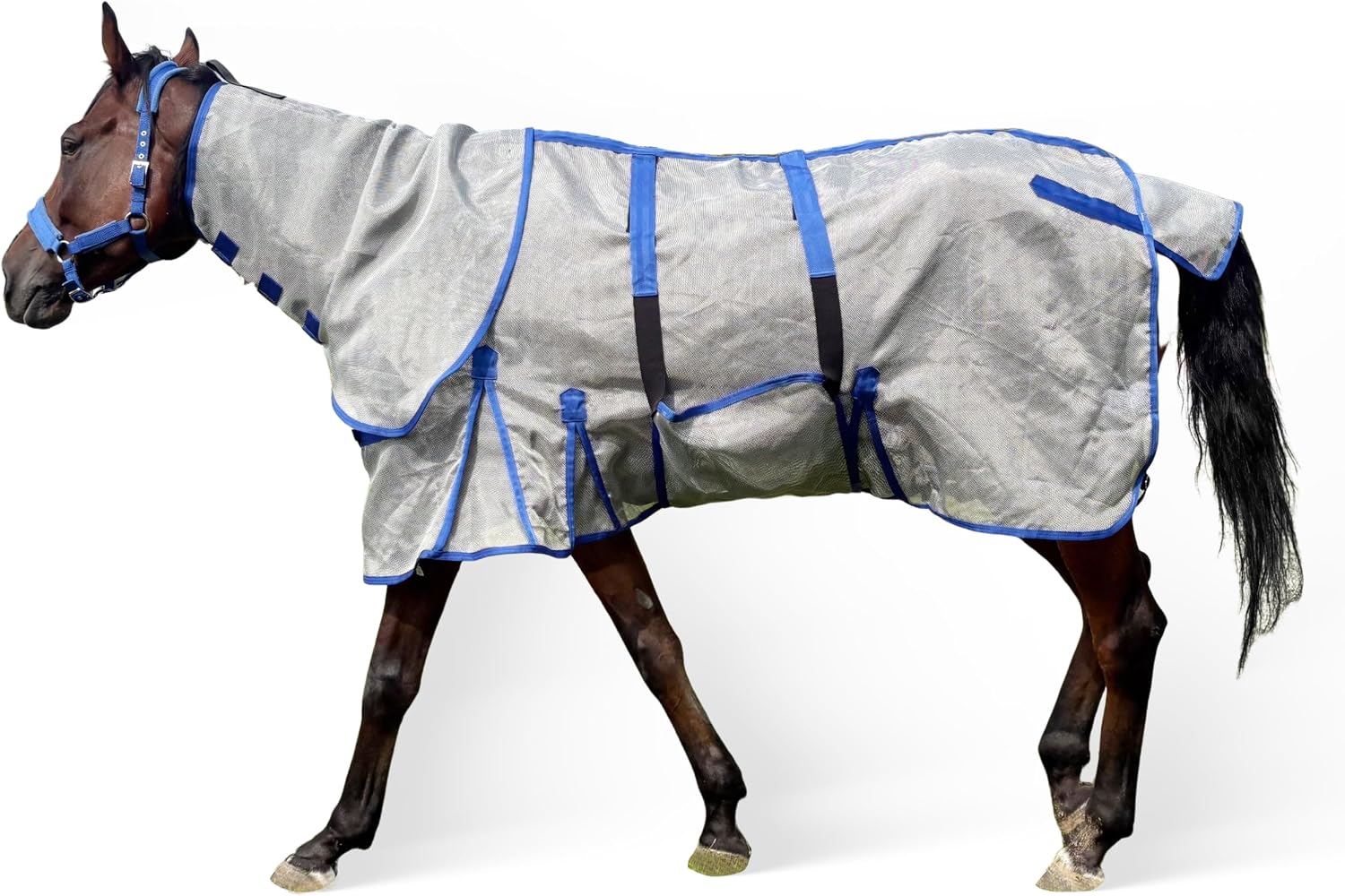 Detalle de Horse Blanket 72 in