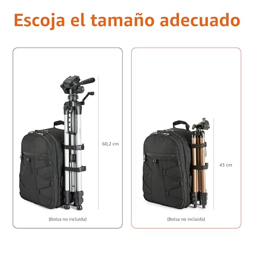 Detalle 2 de Amazon Basics Trípode para Cámara 127 cm/50 in, ligero y compacto en champán