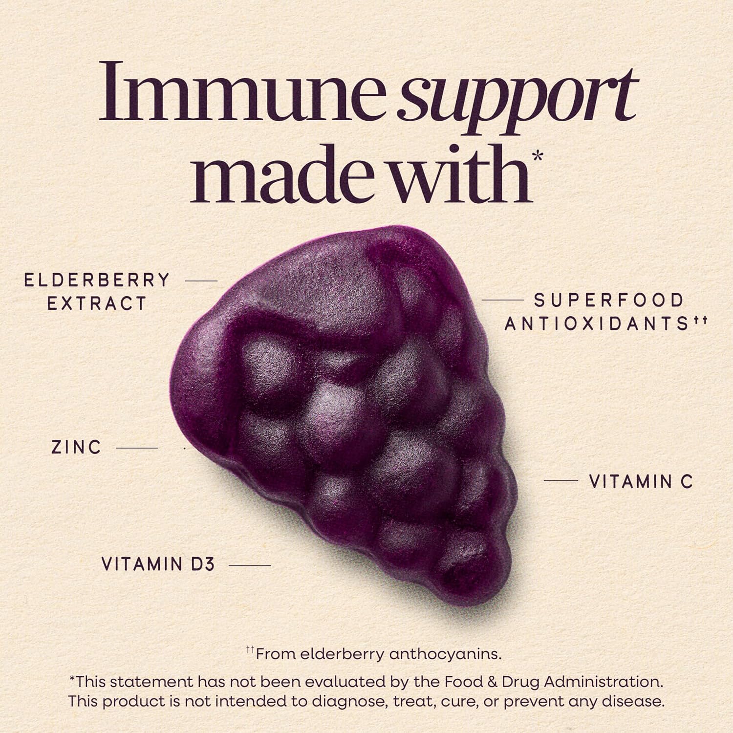 Detalle de Nature's Way Sambucus Elderberry Gummies for Immune Support (Ages 4+) 60 ct
