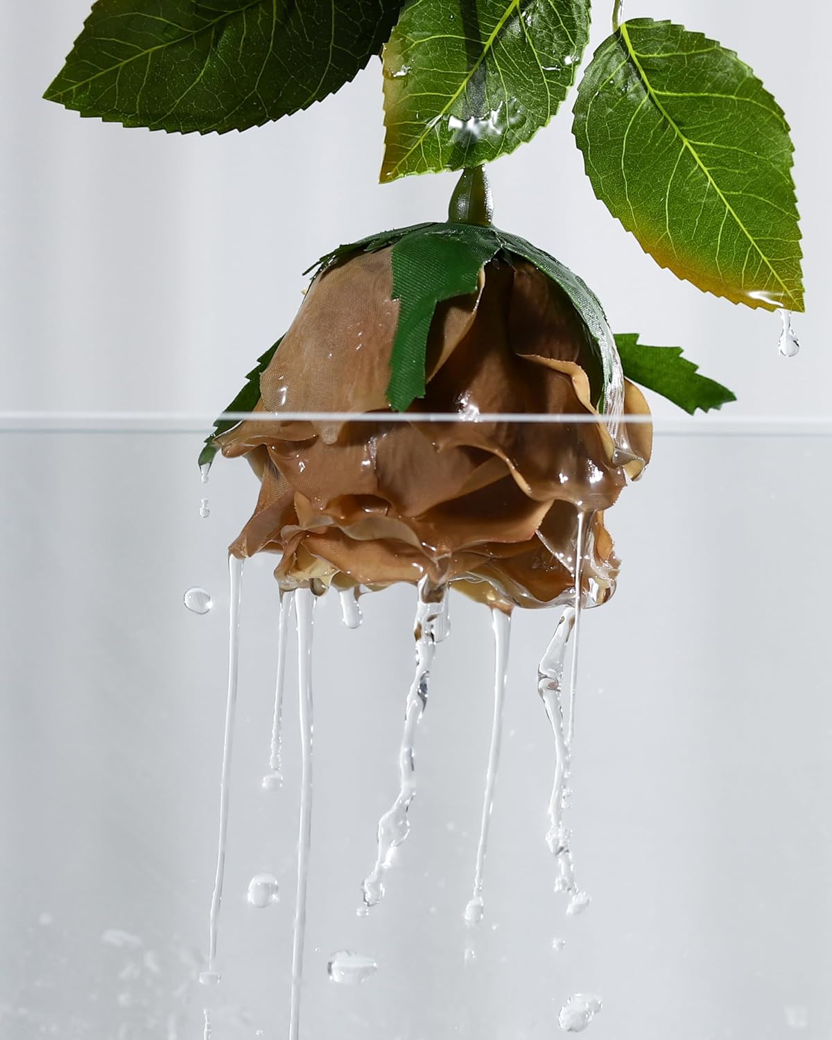 Thumbnail 4 de DuHouse 5 pack Real Touch silk roses with stems (fake coffee roses) for wedding, party and home décor